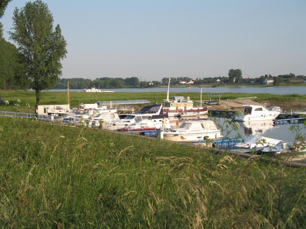 Rhein River Guesthouse - Direkt Am Rhein Leverkusen Extérieur photo