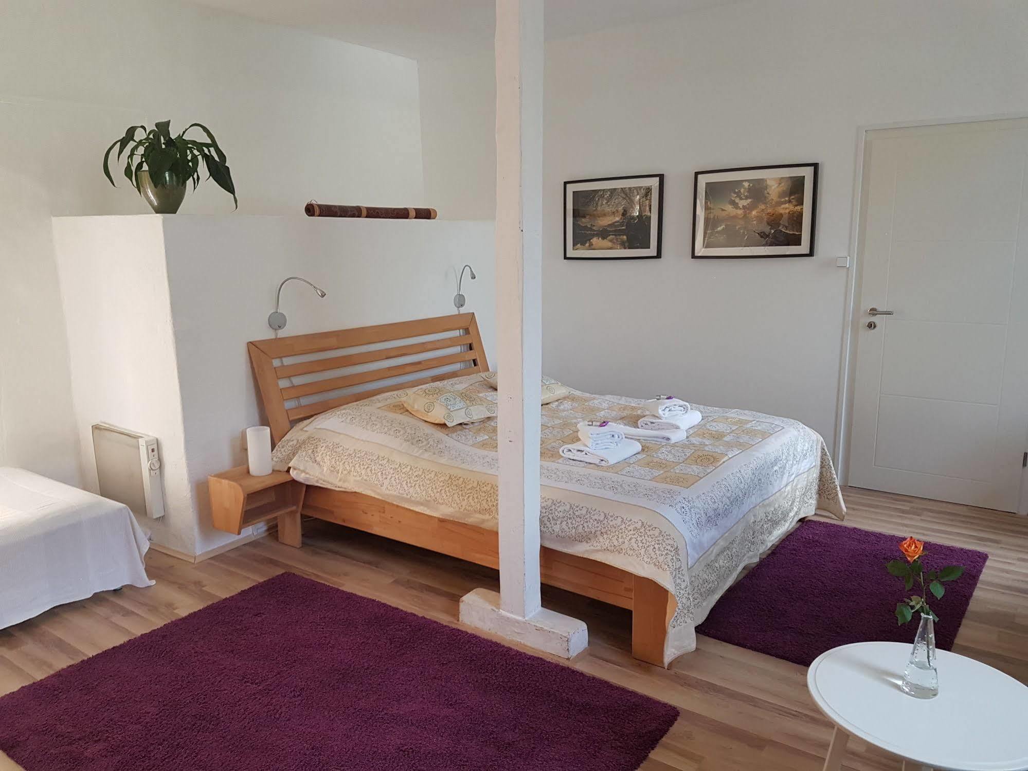 Rhein River Guesthouse - Direkt Am Rhein Leverkusen Extérieur photo